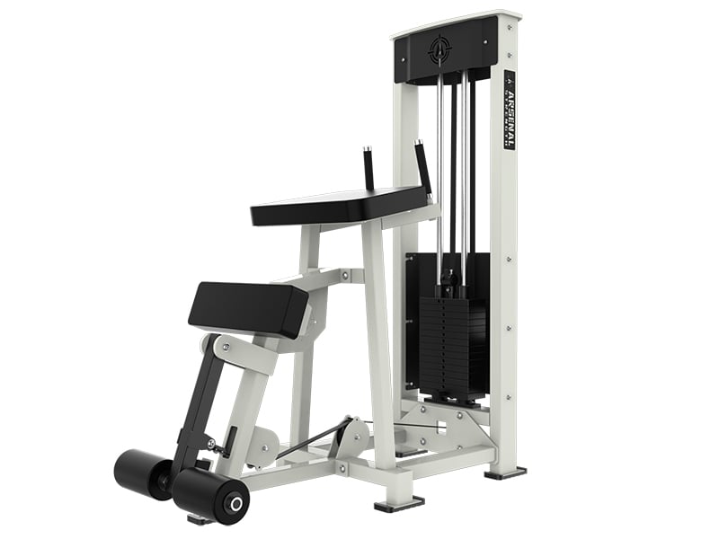 Standing 2025 hamstring machine